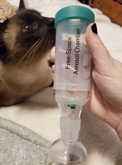  vet aerosol chamber